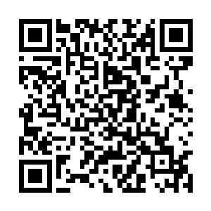 这小丫头直接把家里养的那头小猪仔子给牵进来了二维码生成