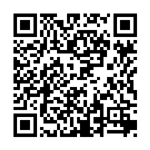 这小兔崽子延命至今乃是你嫂子用同命借魂之法二维码生成