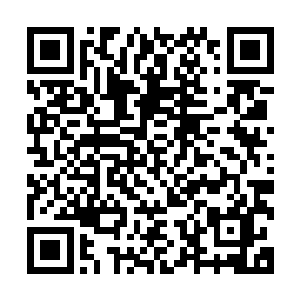 这小子不会打拳难道他也没有看到过电视上人家出拳的招式吗二维码生成