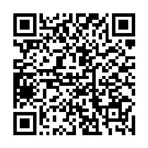 这小子命硬得很说不定灵界的走向真的会因为他而改变二维码生成