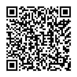 这小子是从哪里冒出來 我怎么不知道我们这颗修真星上还有如此妖孽的人二维码生成