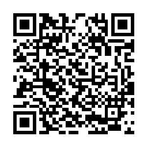 这小子是绝对不能让他妹妹在对杨洛生出亲近之心二维码生成