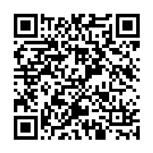 这小子竟然跟苏落表白啊……这种事他都不敢做啊二维码生成