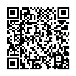 这小孩儿竟然不分青红皂白直接就对他的人打开杀戒二维码生成