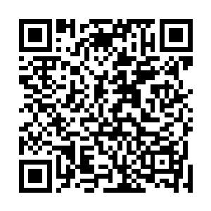 这小家伙一双圆溜溜如同宝石一般的眼睛愣愣的看着铁战二维码生成