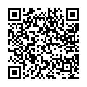 这小家伙不是一般的小狗――他依旧把它定义为小狗了二维码生成