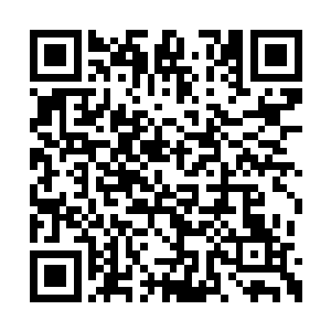 这小畜生从出现的那一刻起就注定要中我的陷阱二维码生成