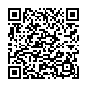 这就代表了孔雀和断刃能够避开90%变异昆虫所带来的危险二维码生成