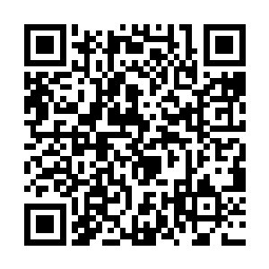 这就仿佛是人主动跳进了海里面去和大白鲨搏斗似的二维码生成