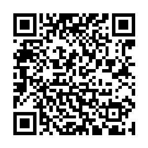 这就仿佛是wow里面一个兽王猎人却不带宠物和人打架二维码生成