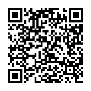 这就只有一个可能――不仅仅是永冻泉的封印松动了二维码生成