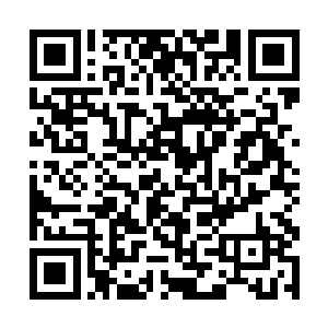 这就和动物世界里很多雄性都要霸占一大堆雌性一样二维码生成