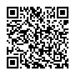 这就好像用最好的钢铁铸造一柄打蚊子的蚊子拍二维码生成