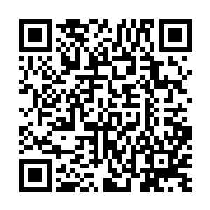 这就导致光明神丹在天元大陆上成为了十分稀有的物种了二维码生成