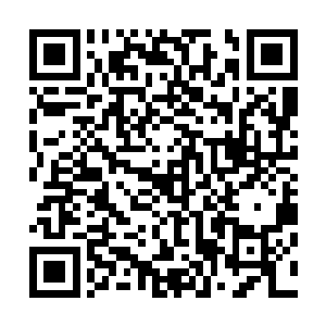 这就意味着仲华主动放弃了在对待丁长生时那种恩主的姿态二维码生成