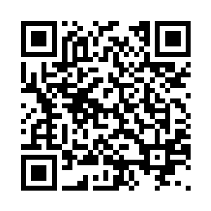 这就把一棵茶树的精华全都给摘取了二维码生成