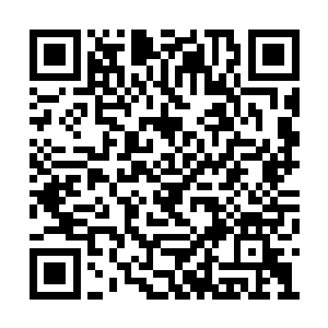 这就是一个修真世界中的凡人国家中的某个角落二维码生成