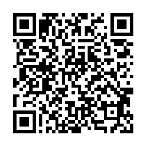 这就是两年前他第一场发布会发布的赤焰之舞吗二维码生成