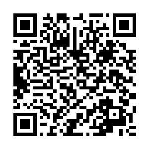 这就是为了让别样红与无穷碧相信杀死他们儿子的人是陈长生二维码生成