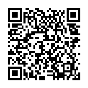 这就是为什么史密斯张只找男主角而不需要女主角二维码生成