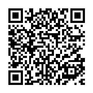 这就是为什么它不愿意见你的原因了……迷天兔族最擅虚空穿梭二维码生成