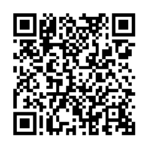 这就是主神级别的强者和普通神级强者之间的差距二维码生成
