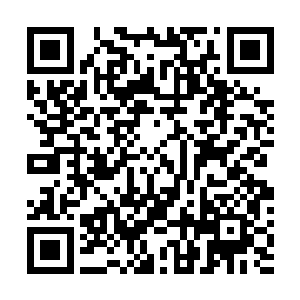 这就是他们要奉命追杀的大周萧国公府表少爷和表少奶奶二维码生成