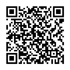 这就是代表了人类天才中最强水平的天尊传人的实力二维码生成