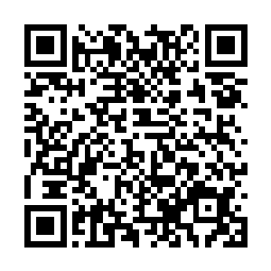 这就是你们两个之前告诉我的饶了你们一命的家伙二维码生成