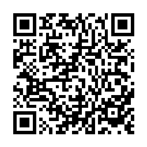 这就是厉灵海最大的秘密――关系到她获得的神秘传承二维码生成