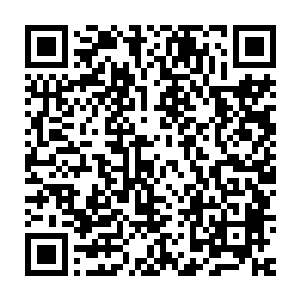 这就是原本巴克找阿卜迪要来对方唯一的一门六十毫米口径迫击炮二维码生成