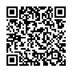 这就是张铁心中作为人族骑士在圣战之中的坚定信念二维码生成