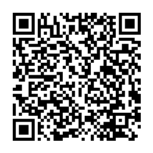 这就是我为什么要来洛杉矶当演员……我朋友给我开了最棒的离别晚会二维码生成