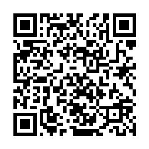 这就是我们普通忍者的生活根本就是生活在地狱当中吗二维码生成