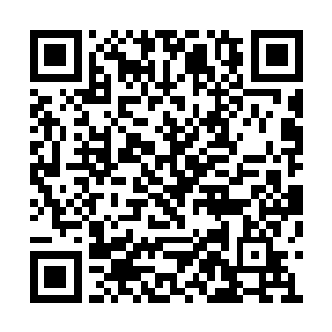 这就是我需要前往蒸汽军高举义旗的战场的原因二维码生成