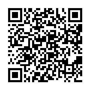 这就是臻至丹云神丹级数的丹药与普通的丹药的区别二维码生成