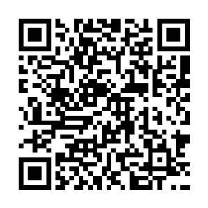 这就是萧摇给brook想要打残张明明双脚双脚的十倍报复二维码生成