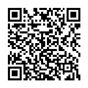 这就是说他们已经把二小姐的路子完全的堵死了二维码生成