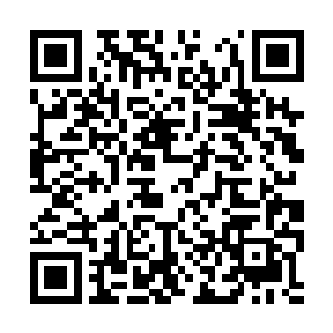 这就是陈八两口中所谓的阴阳先生最怕因果的原因二维码生成