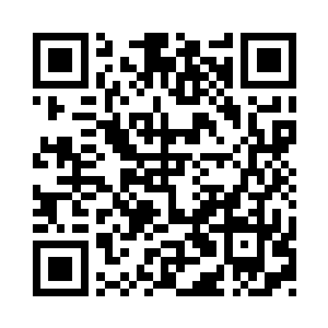 这就是高级血脉对于低级血脉的绝对压制二维码生成