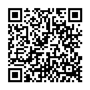 这就直接导致内部空间不大的乾坤袋就不再被大家重视二维码生成