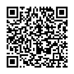 这就要求舰队的指挥者必须用最为务实的思考模式来处理事务二维码生成