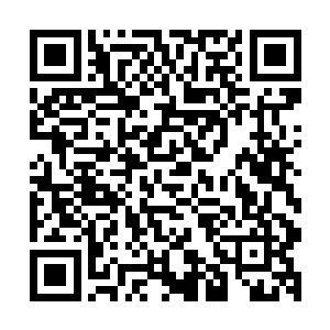 这就让两千万片酬的真实性直线上升――事实上这的确是真的二维码生成