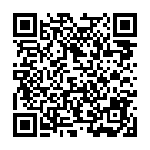 这就让她直接跨过了修真的第一个境界――炼体期二维码生成