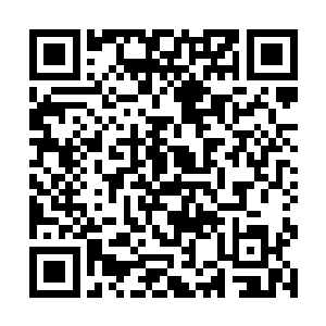 这就说明在维哥湾有装载着南美金银币的船只沉没过二维码生成
