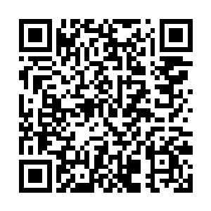 这就说明是这株松树先是经过高温灼烧之后才被劈开二维码生成