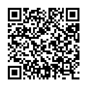 这就难怪郑绍华一直想怂恿江少游选择那个ss级的任务了二维码生成