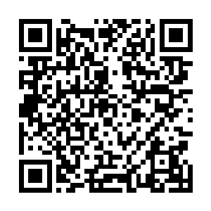 这尸体出来还拉倒另外一个瓶子扯出自己的内脏塞回胸腔二维码生成