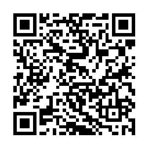 这尸体只不过是孟猊将它摆成了一个栩栩如生的姿势二维码生成