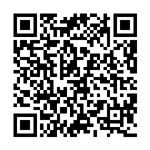 这岂不是说礼堂里的那个存在比中银大厦的煞气还要恐怖二维码生成